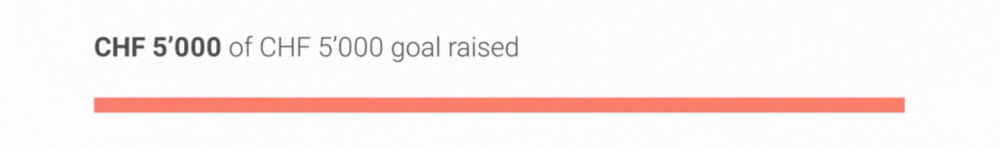 Progress Bar Gif EN.gif