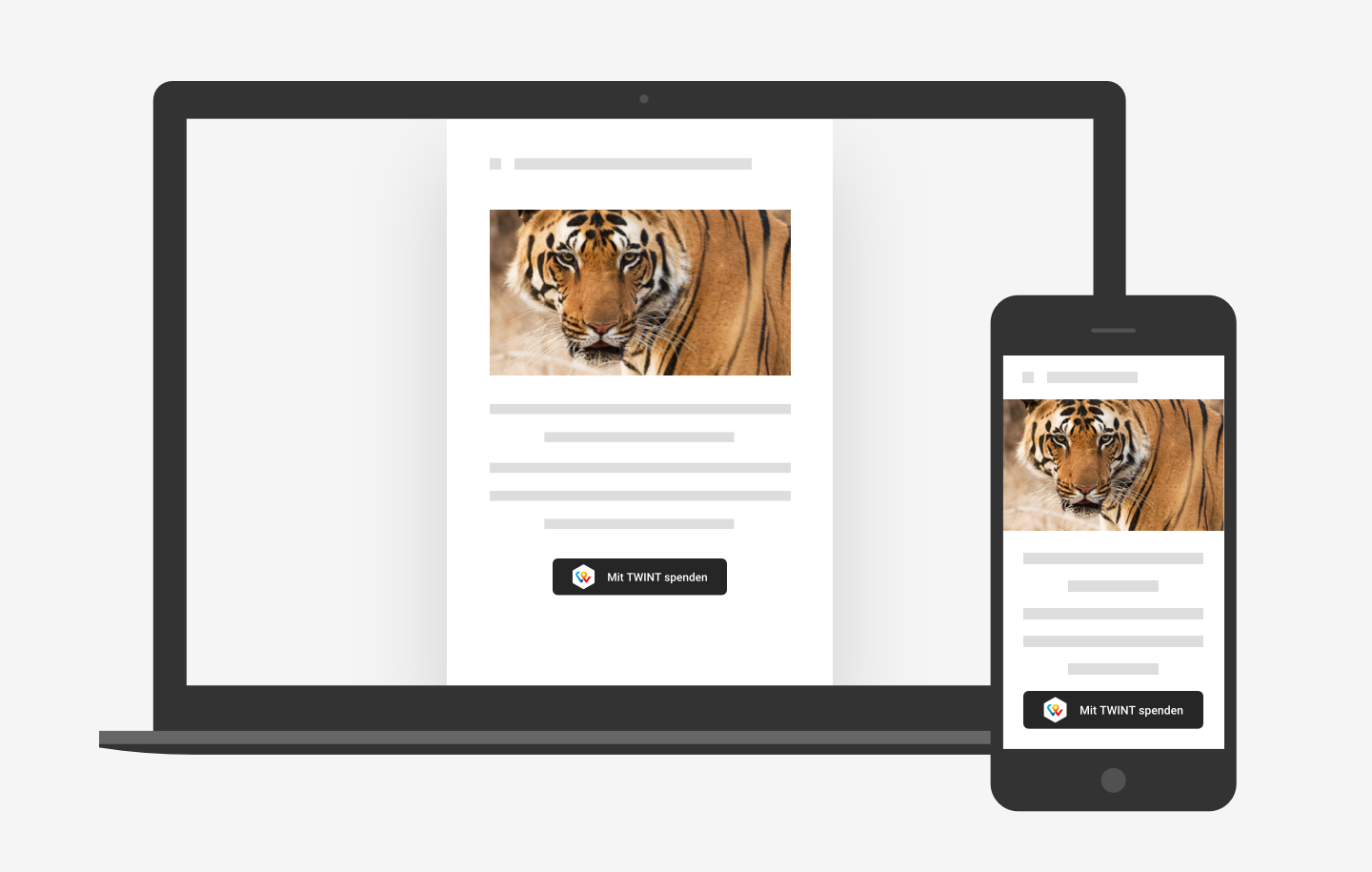 DE-TWINT-PayLink-Button-Newsletter.png