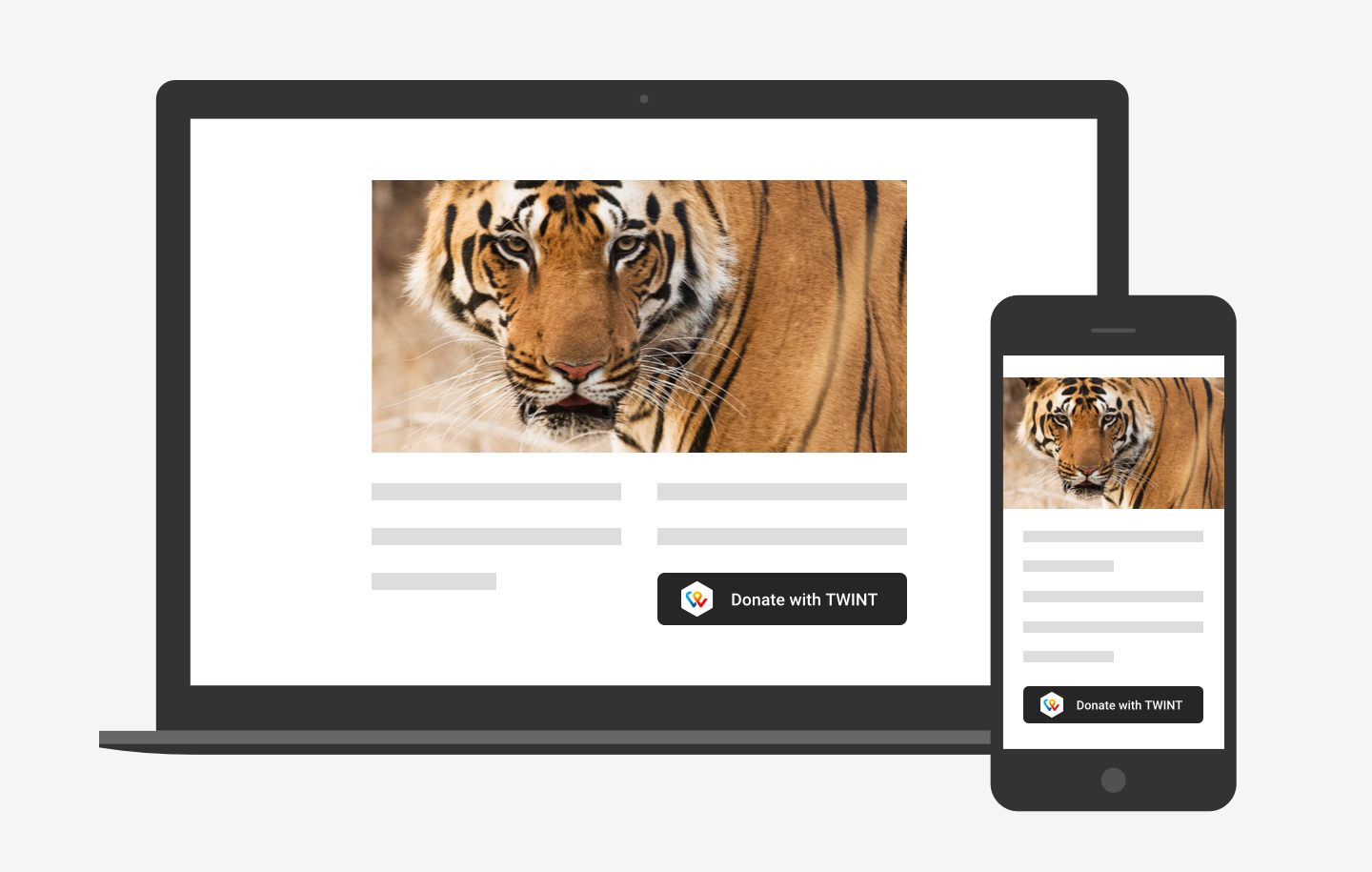 EN-TWINT-PayLink-Button-Integration.png